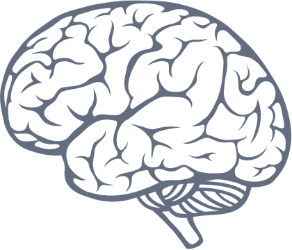 Mind - Brain Png (420x360), Png Download