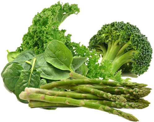 Leafy Greens For Dogs - Green Vegetables Png (500x413), Png Download