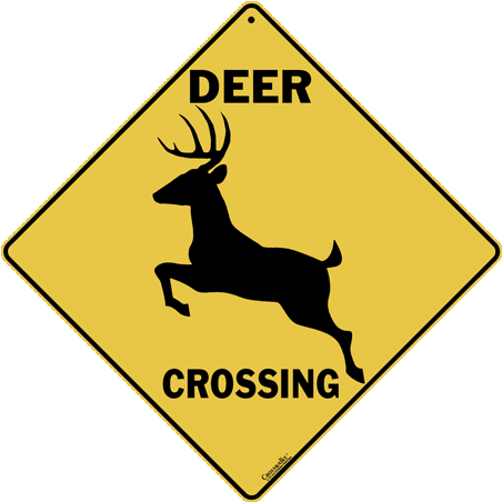 Deer Silhouette Crossing - Alligator Crossing Road Sign (480x480), Png Download