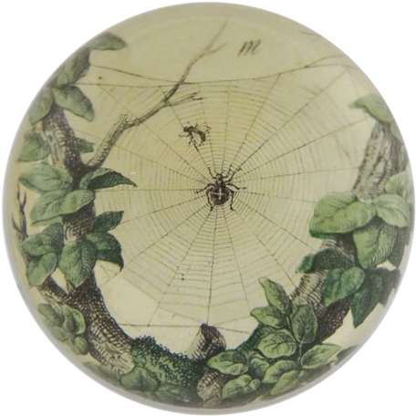 Leafy Web Leafy Web - Floral Design (500x500), Png Download