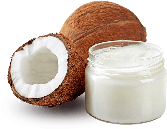 Aceite De Coco - Coconut Oil (600x457), Png Download