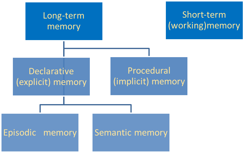 Memory Chart - Colorfulness (891x516), Png Download