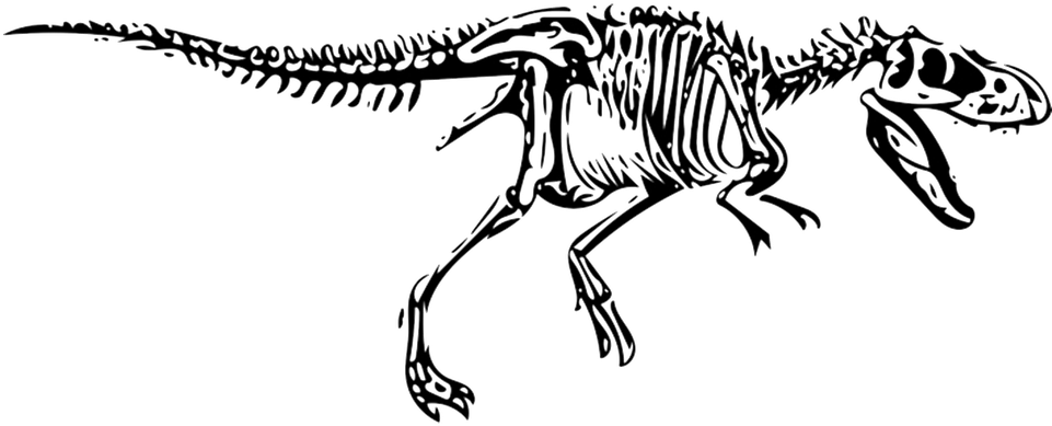 Dinosaur, T-rex, Tyrannosaurus, Fossil - Tyrannosaurus Rex Skeleton Svg (960x540), Png Download