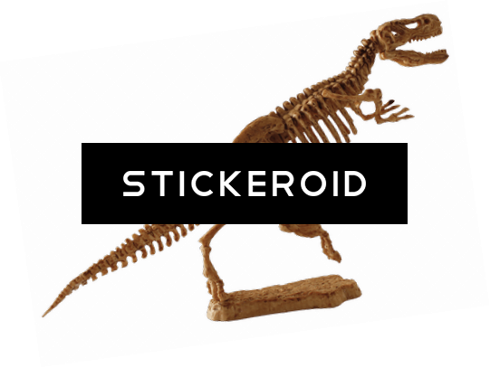 T-rex Fossil - Tyrannosaurus (541x407), Png Download