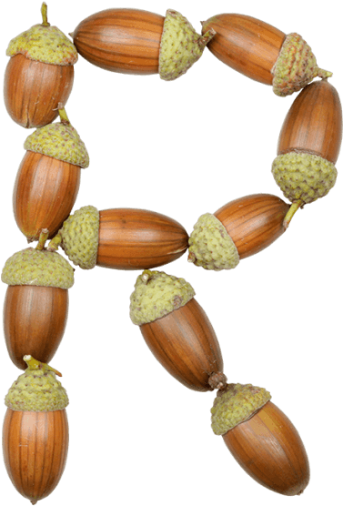 Make Green Designs With Handmade Font - Necklace (595x595), Png Download