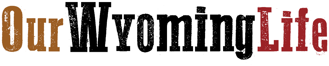 Patreon - Our Wyoming Life Logo (1200x250), Png Download