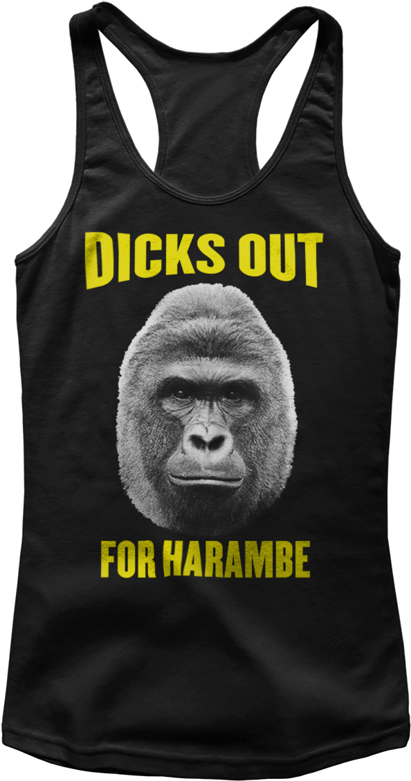 Dicks Out For Harambe - I'm Your Haram-bae (ladies) - District Womens Shirt (1200x1200), Png Download