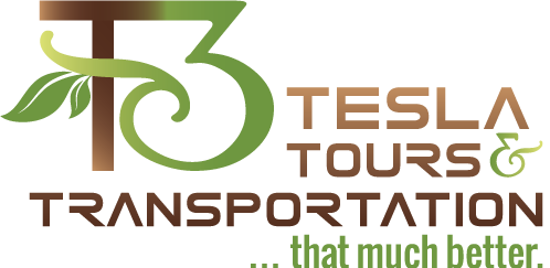 Logo For Tesla Tours & Transportation - Nikola Tesla (498x243), Png Download