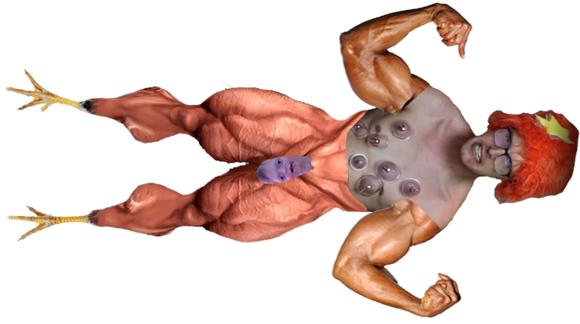 Welcome To Reddit, - Bodybuilding Exercises (1920x1080), Png Download