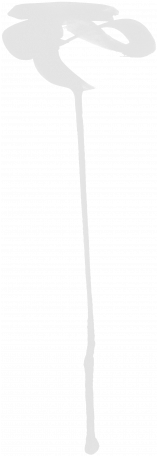 Here & Now Paint - Great Egret (456x456), Png Download