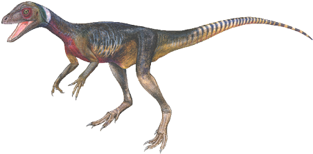 Raptor - North America (465x355), Png Download