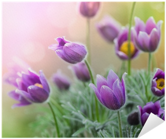 Beterschap Sterkte Wenskaarten 8 Stuks (400x400), Png Download