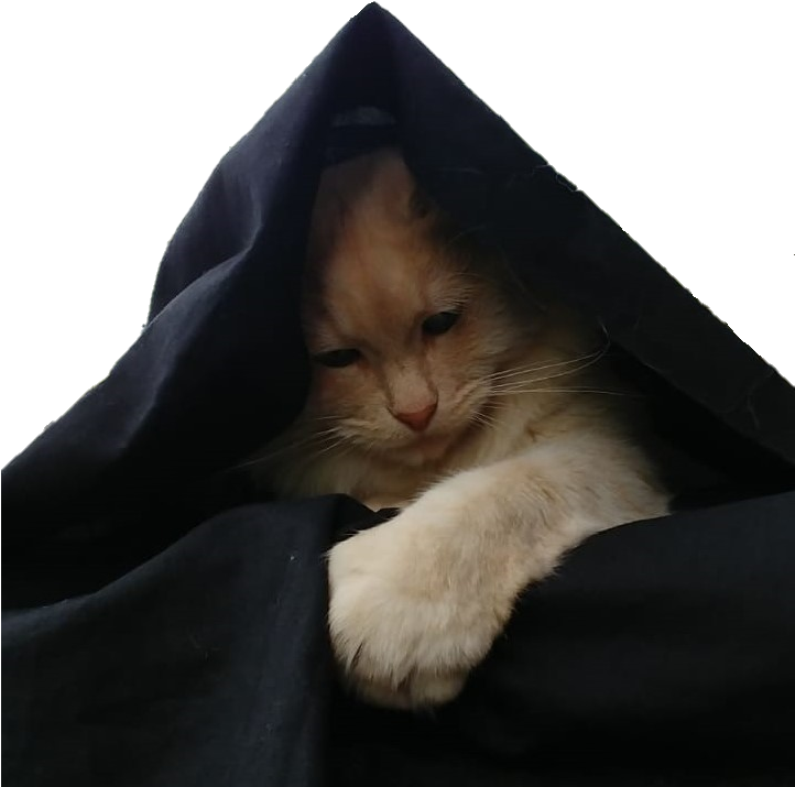 1 Reply 1 Retweet 3 Likes - Asian (793x822), Png Download