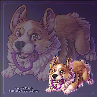Koaf Corgi - Pembroke Welsh Corgi (540x400), Png Download