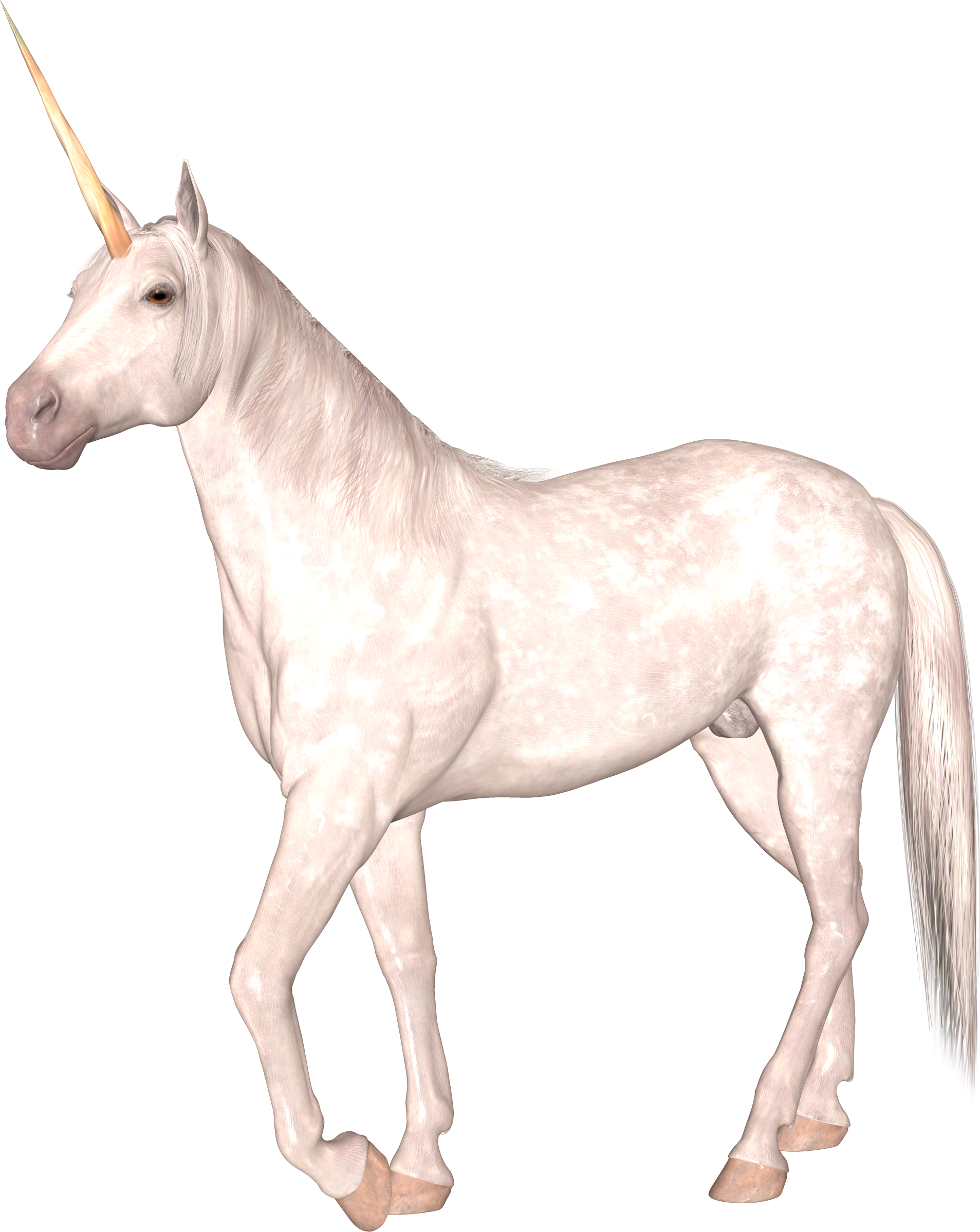 Unicorn (1907x2398), Png Download