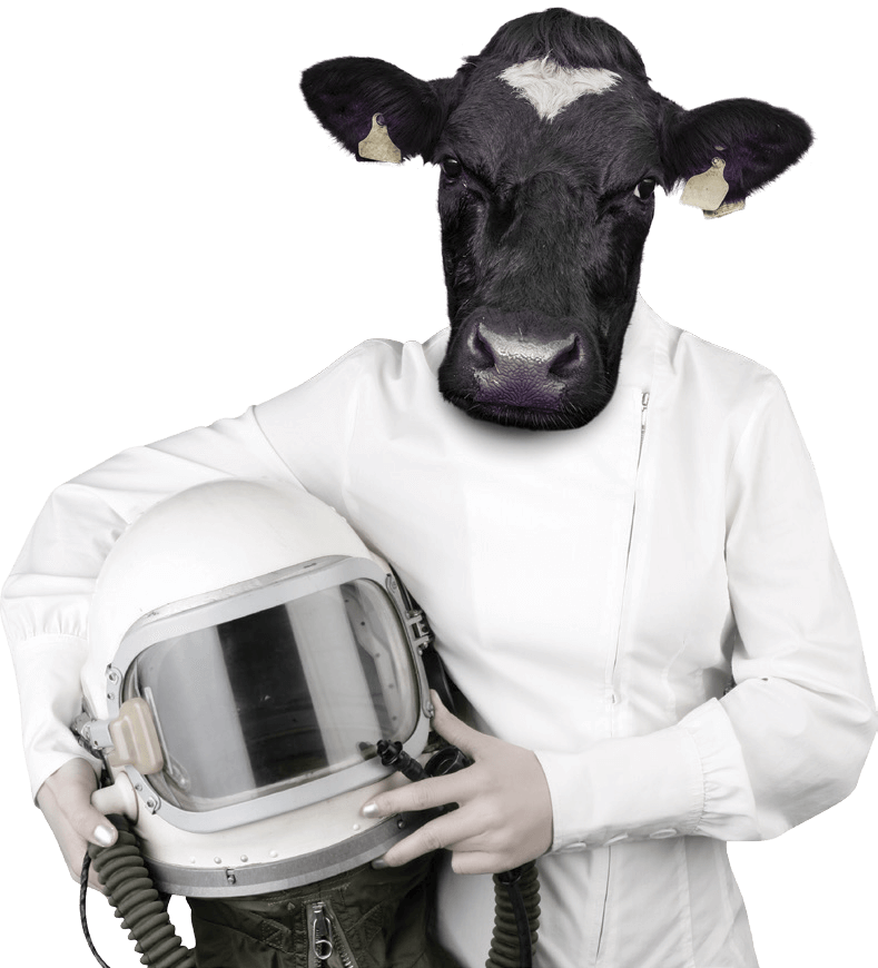 Stock Photography (789x870), Png Download