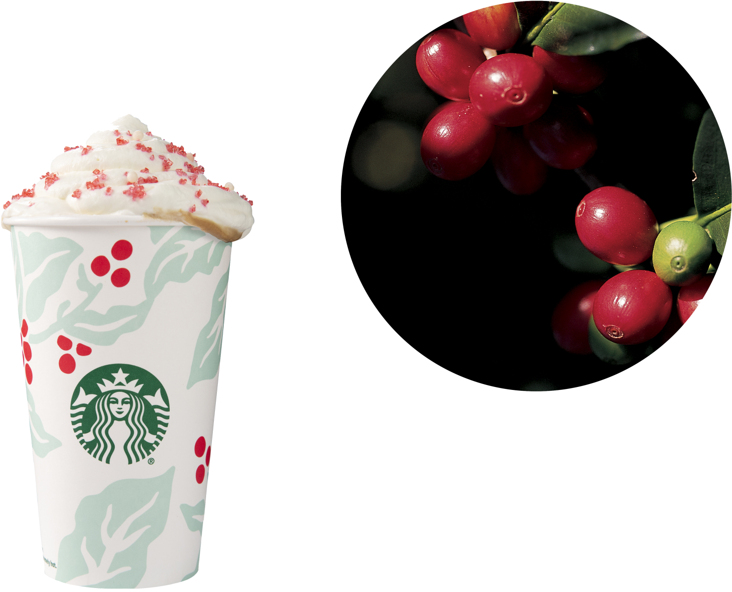 Starbucks - Flora - Starbucks New Logo 2011 (1594x1299), Png Download