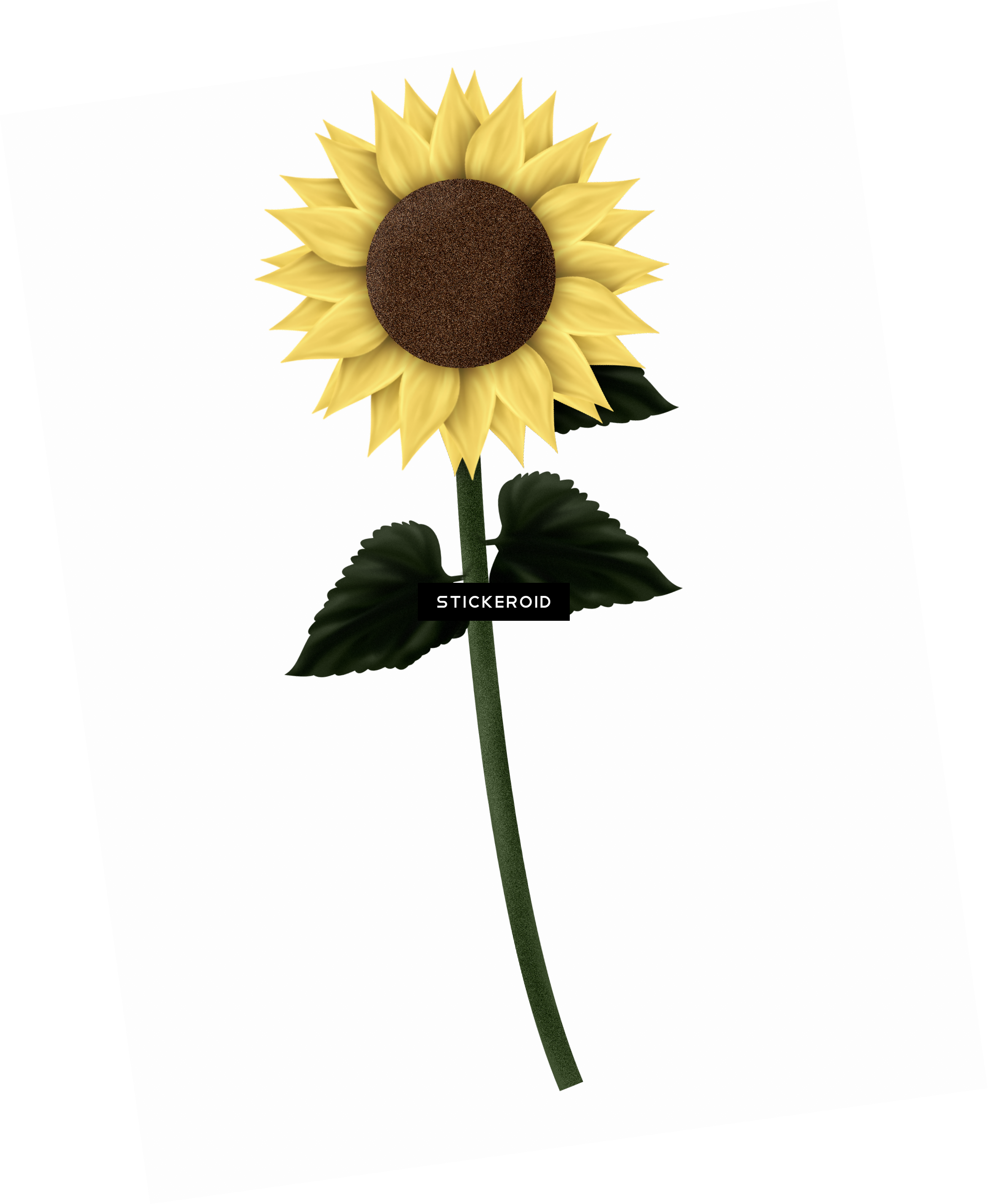 Sunflowers - Sunflower (2341x2853), Png Download