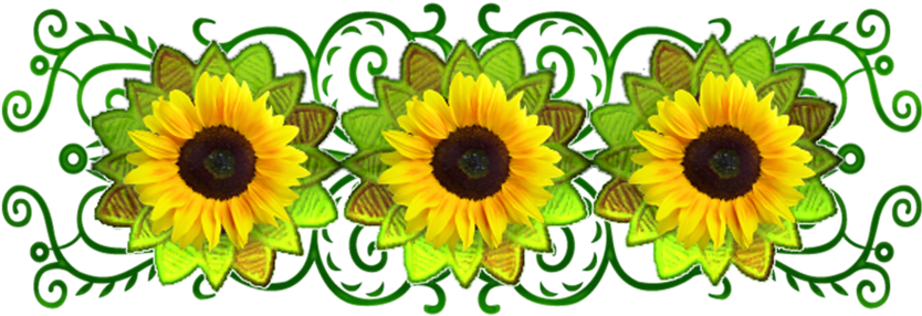 B *✿*sunflower - Sunflower (1024x1024), Png Download