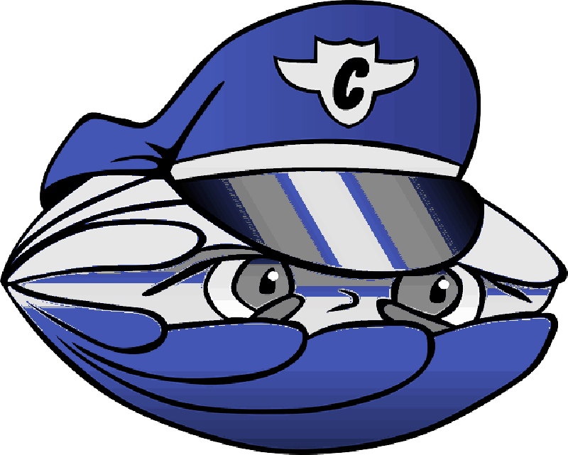 Banner Black And White Eyes Police Cartoon Security - Security Guard (800x641), Png Download