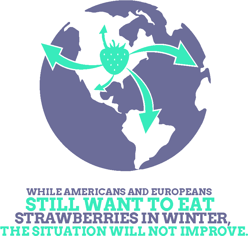 Dataviz Alimentaire English 15 - Portable Network Graphics (1083x1042), Png Download