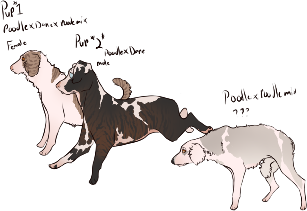 Gabe And Gutter Pups - Cartoon (1024x704), Png Download