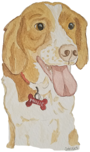 Harrier (400x598), Png Download