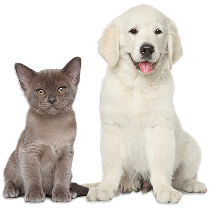 Sirop-gel Hygiène Intestinale Chien Et Chat (466x466), Png Download