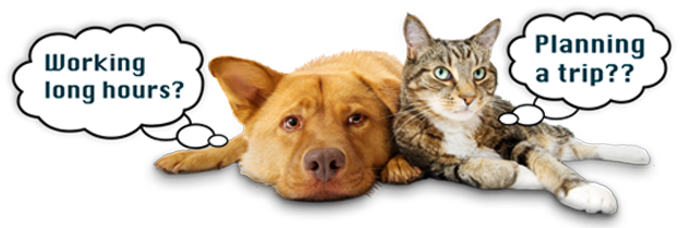 Premier In-home Pet Care Services In Los Angeles - Dog Cat Bird Turtle Rabbit (635x215), Png Download