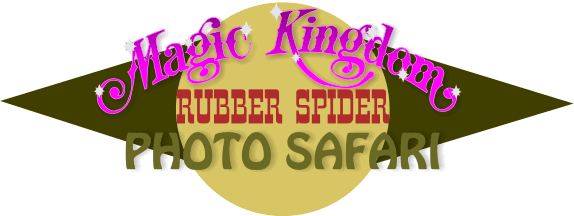 But From The Disneyland Haunted Mansion To The Magic - Dirty Dan (574x216), Png Download