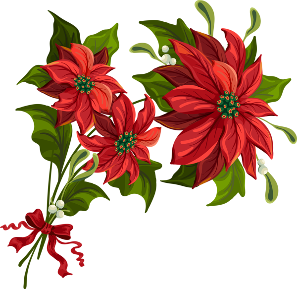 Poinsettia Drawing Watercolor - Poinsettia Clipart Transparent (600x583), Png Download