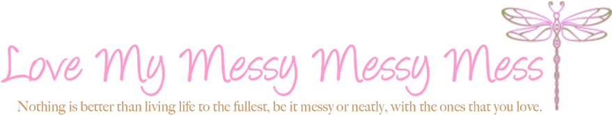 Love My Messy Messy Mess - Dreams And Nightmares Of A Menopausal Woman (920x280), Png Download
