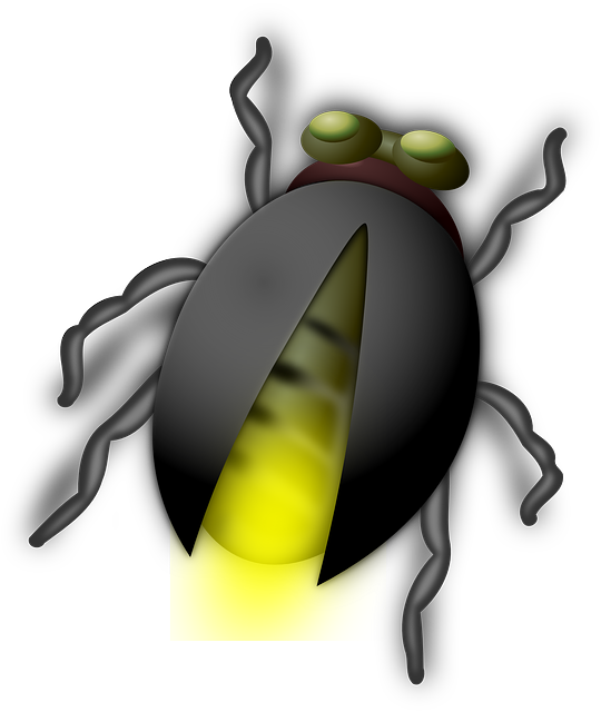 Glow Worm, Glowworm, Bug, Firefly, Insect, Light - Bug Clip Art (540x640), Png Download