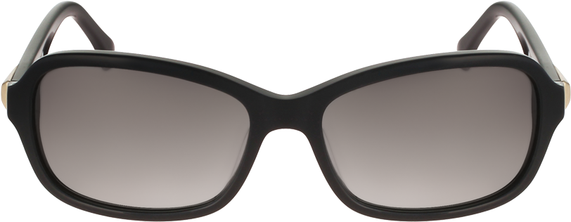 Ermenegildo Zegna Mens Rectangular Sunglasses (1117x480), Png Download