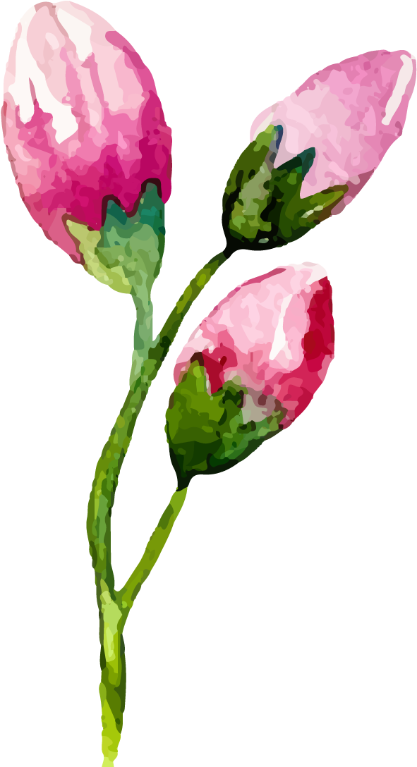 Leggings La Moda (721x1118), Png Download