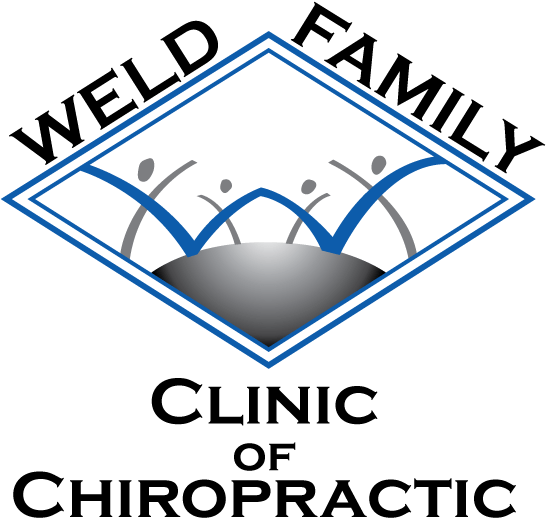 I Want To Thank Drs - Cafepress I Scream You We All Square Sticker 3 X Bumper (550x544), Png Download