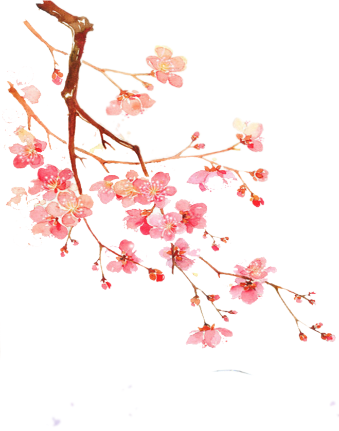 Pin By Kiera Green On Cover - Flor Ameixa Png (658x929), Png Download