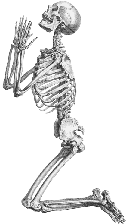 Free Icons Png - Praying Skeleton Png (434x750), Png Download