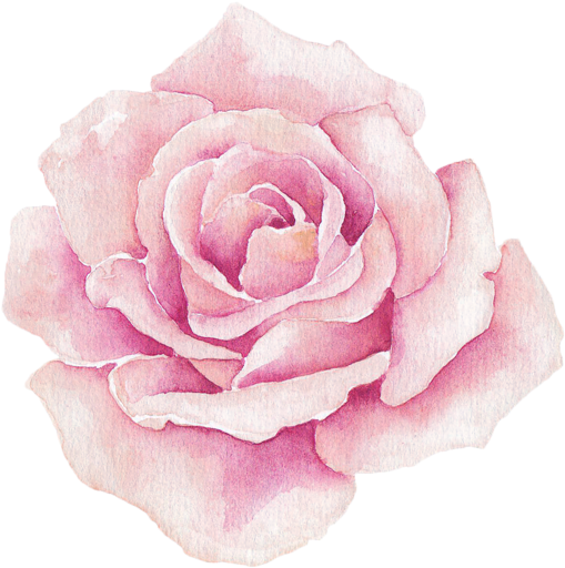 Фото, Автор ✿lili@ ✿ На Яндекс - Watercolor Rosa Flores Png (800x800), Png Download