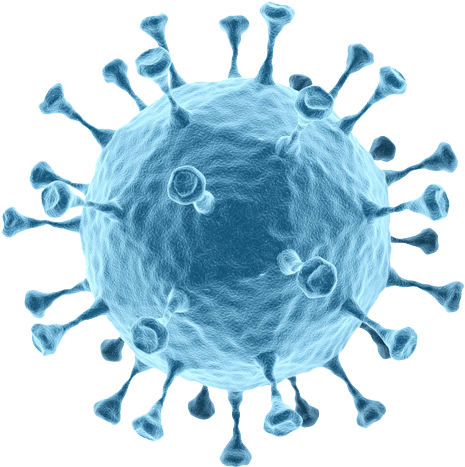 Bacteria Png Clipart - Bacteria Png (500x500), Png Download