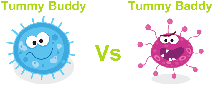 Bacteria Clipart Harmful Bacteria - Good Bacteria Vs Bad Bacteria Clipart (900x300), Png Download