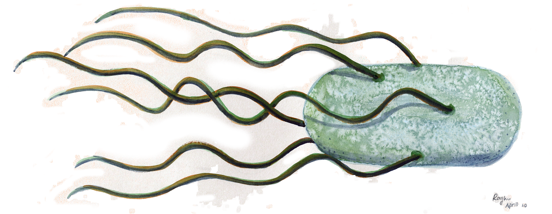 Slammed Why Do Care About Physics The - Bacteria Image Transparent (1200x470), Png Download