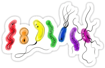 Fly Your Rainbow Flag Microbiology-style With This - Illustration (375x360), Png Download