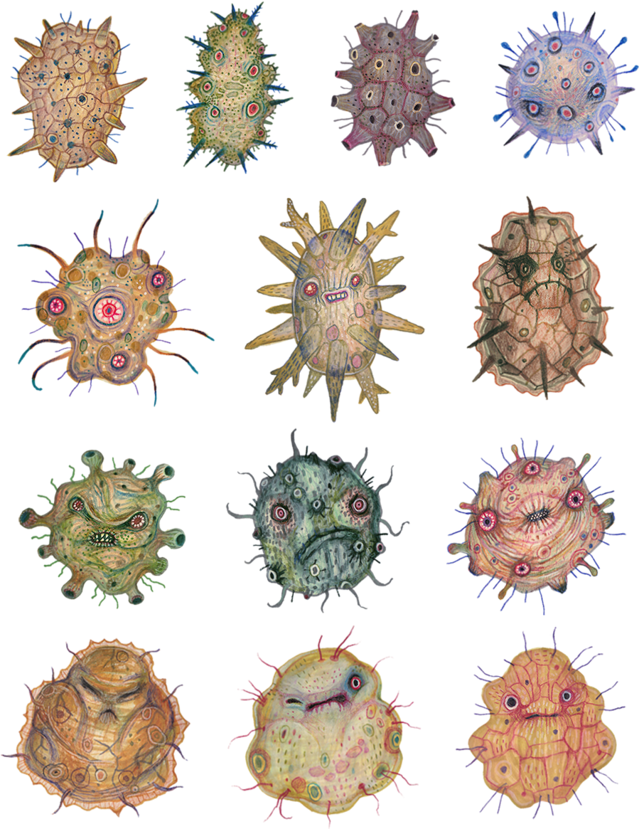 Cells, Bacteria, Microorganisms, Fungi, Viruses, Watercolour - Illustration (900x1200), Png Download