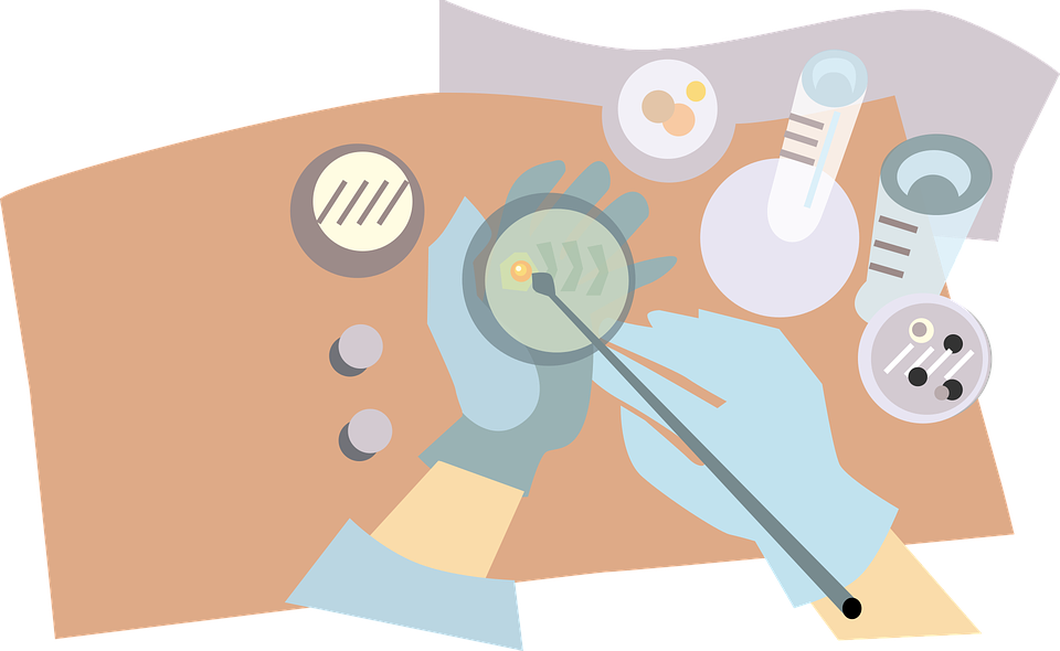Vector Graphics Of Microbiologist Putting Bacteria - Agar Plate Clipart (500x307), Png Download