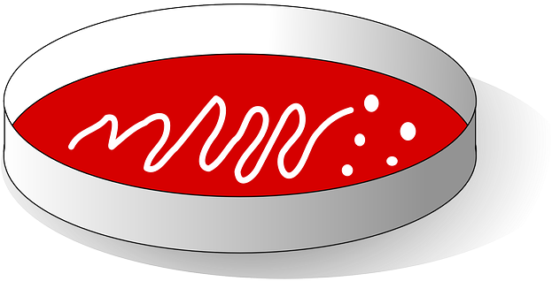 Agar-agar, Substrate, Experiment, Growth, Bacteria - Agar Plate Clipart (640x320), Png Download