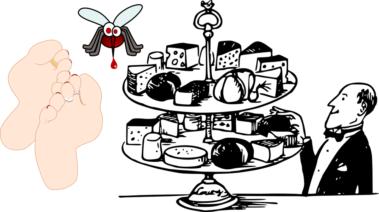 Mommy Why Do My Feet Smell Like Cheese - Cake Drawstring Backpack Bags Promotional Sport Gym (1451x812), Png Download