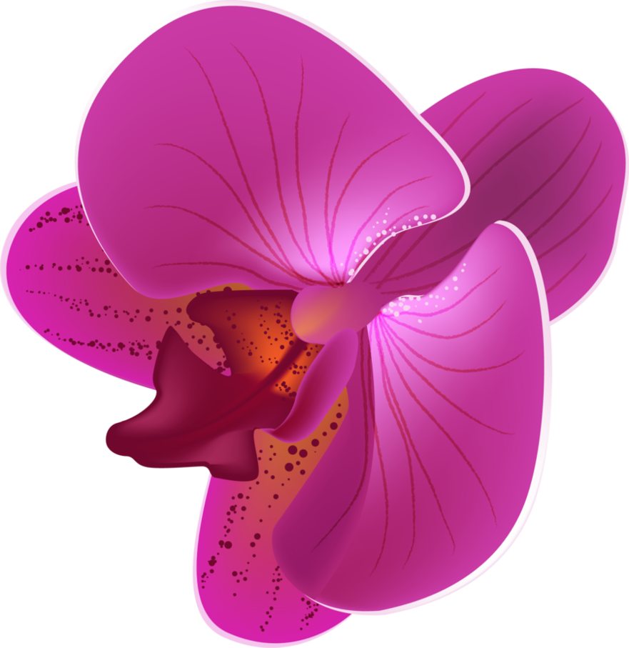 Download Orchid Png - Orchid Flower Vector Png | Transparent PNG ...