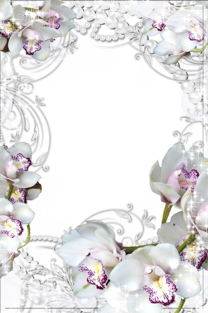 Boarders And Frames, Png Photo, Printable Frames, Scrapbook - Free Download Wedding Frames Transparent Designs Clip (683x1024), Png Download