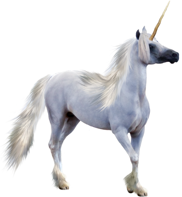 Unicorn Transparent - Unicorn (900x776), Png Download